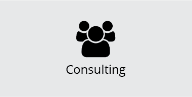 Consulting